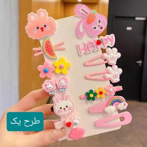 پک گیره مو NH800